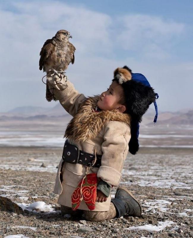 Young Kazakhi-Mongolian falconer